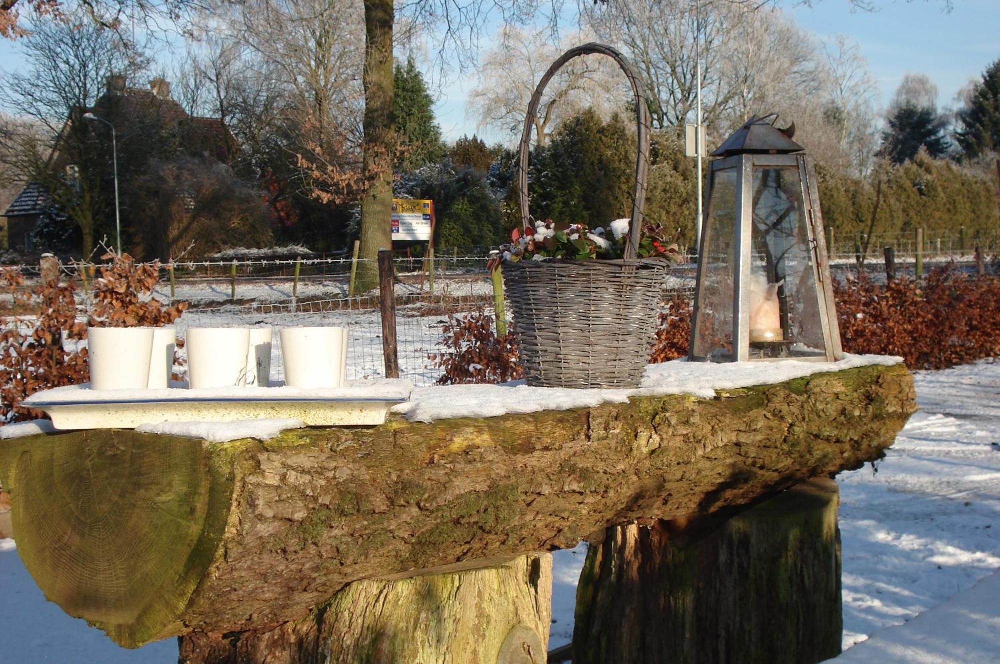 De Willemshoeve
